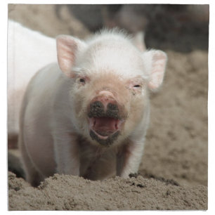Ferkel Napkin