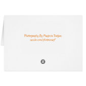 Fermented Veggies Recipe Note Card (Back Horizontal)