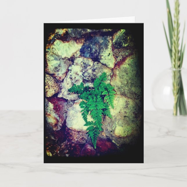 Fern and Geodes Birthday Card (Front)