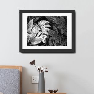Fern and Leafy Foliage Black and White Framed Art