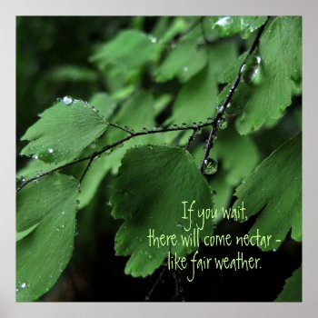 Fern And Raindrops Motivational Poster by debinSC at Zazzle