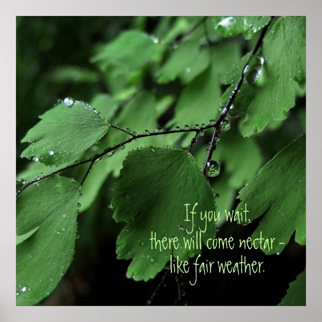 Fern and Raindrops Motivational Poster (Front)