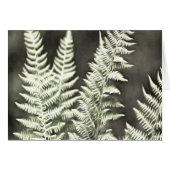 Fern Artistic Abstract (Front Horizontal)