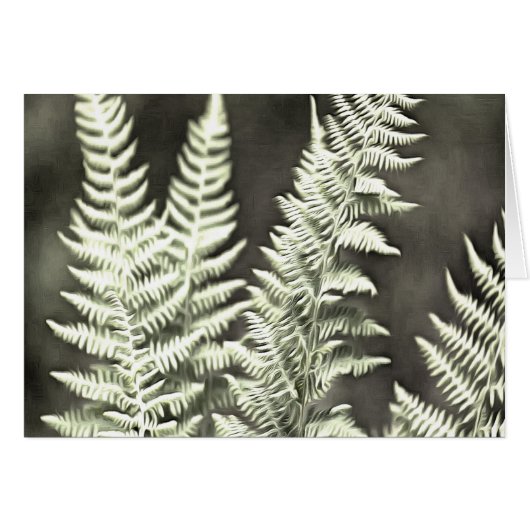 Fern Artistic Abstract (Front Horizontal)