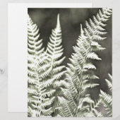 Fern Artistic Abstract (Front/Back)
