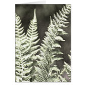 Fern Artistic Abstract (Front)