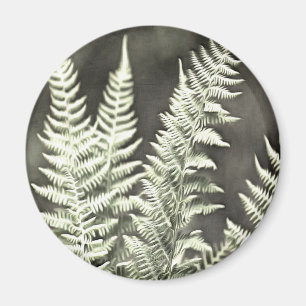 Fern Artistic Abstract Magnet