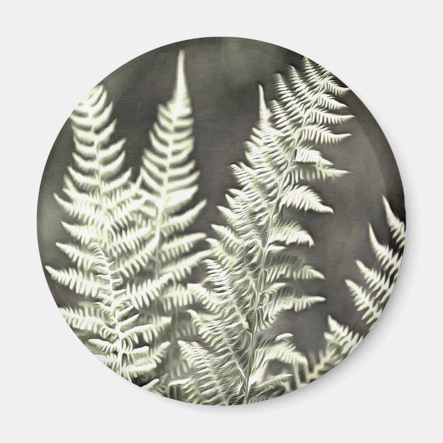 Fern Artistic Abstract Magnet (Front)