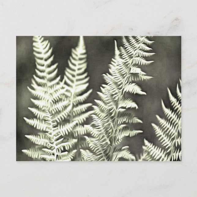 Fern Artistic Abstract Postcard (Front)