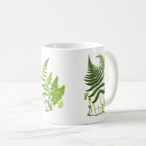 Fern Botanical Print Coffee Mug Gift for her