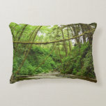 Fern Canyon I at Redwood National Park Accent Pillow