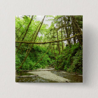 Fern Canyon I at Redwood National Park Button