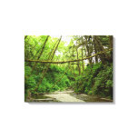 Fern Canyon I at Redwood National Park Canvas Print