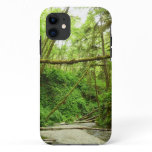 Fern Canyon I at Redwood National Park iPhone 11 Case