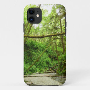 Fern Canyon I at Redwood National Park iPhone 11 Case