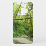 Fern Canyon I at Redwood National Park Case-Mate Samsung Galaxy S9 Case