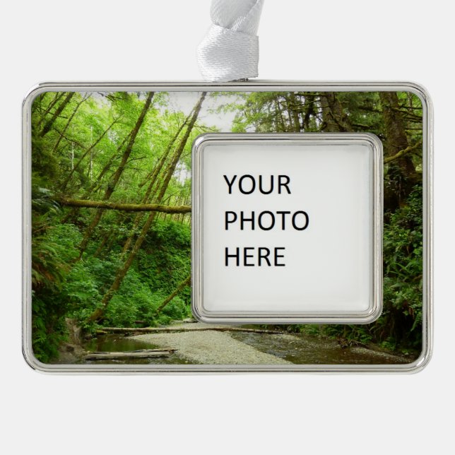 Fern Canyon I at Redwood National Park Christmas Ornament (Front)
