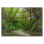 Fern Canyon I at Redwood National Park Cutting Board