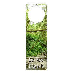 Fern Canyon I at Redwood National Park Door Hanger