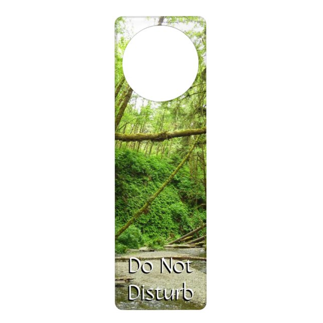 Fern Canyon I at Redwood National Park Door Hanger (Front)