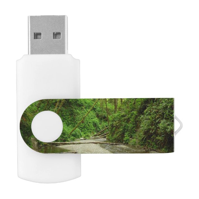 Fern Canyon I at Redwood National Park Flash Drive (Opened)