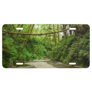Fern Canyon I at Redwood National Park License Plate