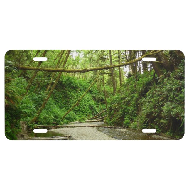 Fern Canyon I at Redwood National Park License Plate (Front)