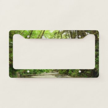 Fern Canyon I At Redwood National Park License Plate Frame by mlewallpapers at Zazzle