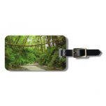 Fern Canyon I at Redwood National Park Luggage Tag