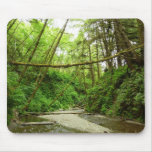 Fern Canyon I at Redwood National Park Mouse Pad