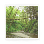 Fern Canyon I at Redwood National Park Napkins