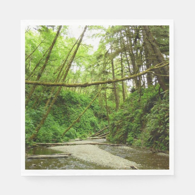 Fern Canyon I at Redwood National Park Napkins (Front)