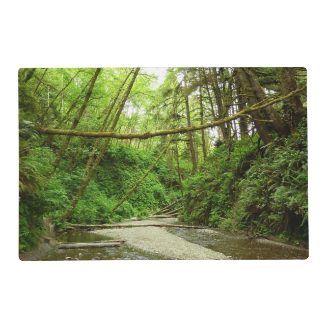 Fern Canyon I at Redwood National Park Placemat (Front)