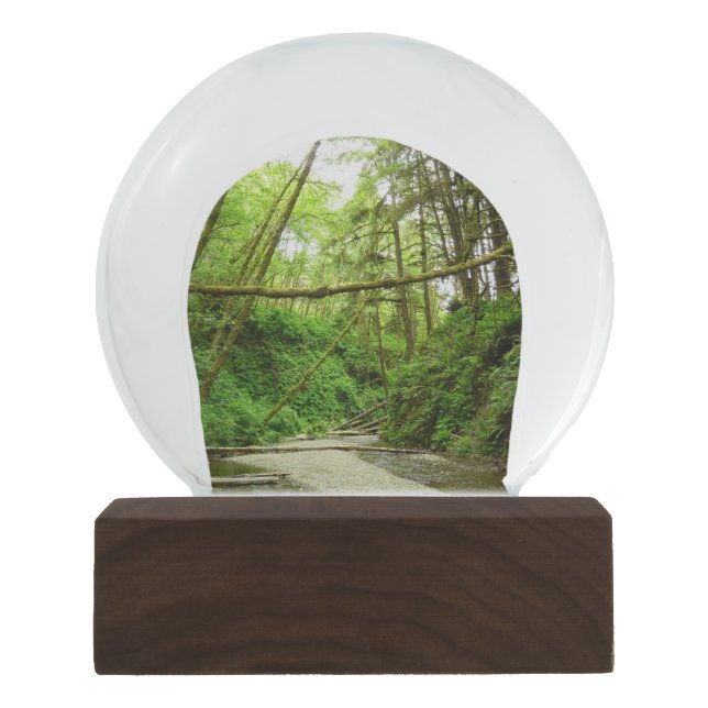 Fern Canyon I at Redwood National Park Snow Globe (Front)