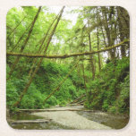 Fern Canyon I at Redwood National Park Square Paper Coaster