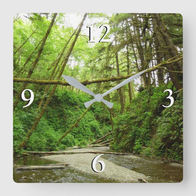 Fern Canyon I at Redwood National Park Square Wall Clock (Front)