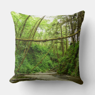 Fern Canyon I at Redwood National Park Throw Pillow