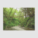 Fern Canyon I at Redwood National Park Tissue Paper