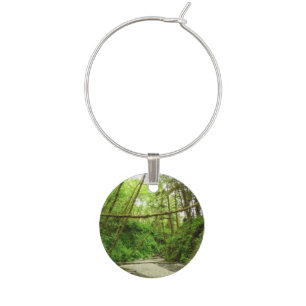 Fern Canyon I at Redwood National Park Wine Charm