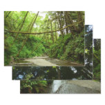 Fern Canyon I at Redwood National Park Wrapping Paper Sheets