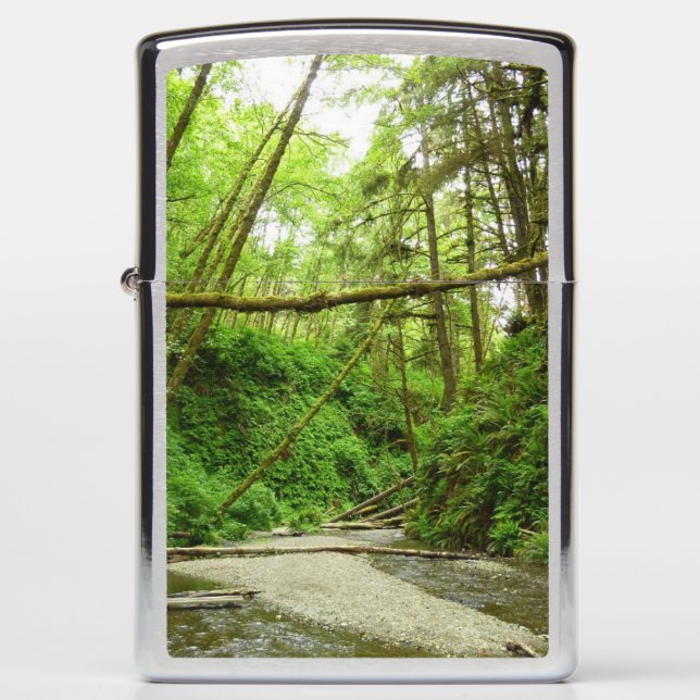 Fern Canyon I at Redwood National Park Zippo Lighter (Front)