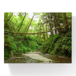 Fern Canyon I Paperweight