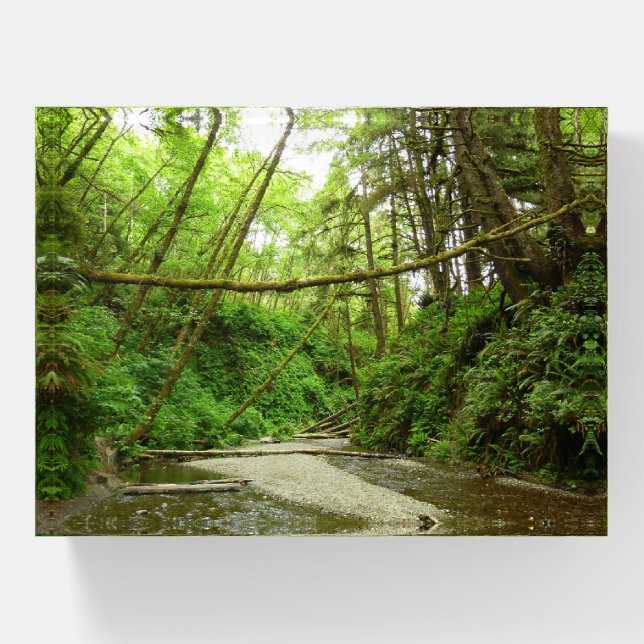 Fern Canyon I Paperweight (Front)