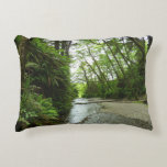 Fern Canyon II at Redwood National Park Accent Pillow