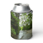 Fern Canyon II at Redwood National Park Can Cooler