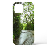 Fern Canyon II at Redwood National Park iPhone 12 Case
