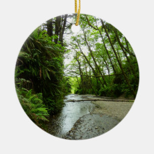 Fern Canyon II at Redwood National Park Ceramic Ornament