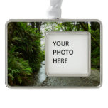 Fern Canyon II at Redwood National Park Christmas Ornament