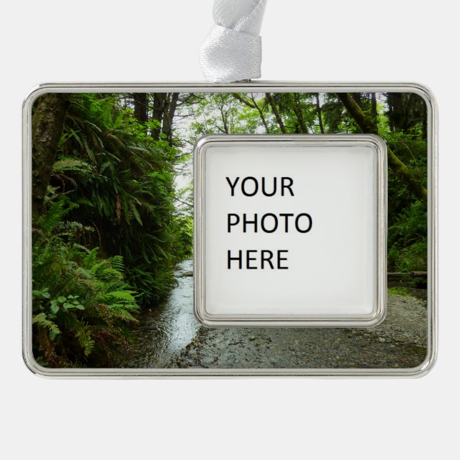 Fern Canyon II at Redwood National Park Christmas Ornament (Front)