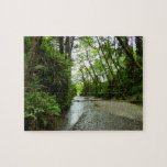 Fern Canyon II at Redwood National Park Jigsaw Puzzle